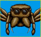 ReconditeRedpoll avatar